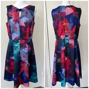 Ellen Tracy | A-Line Fit & Flare Dress